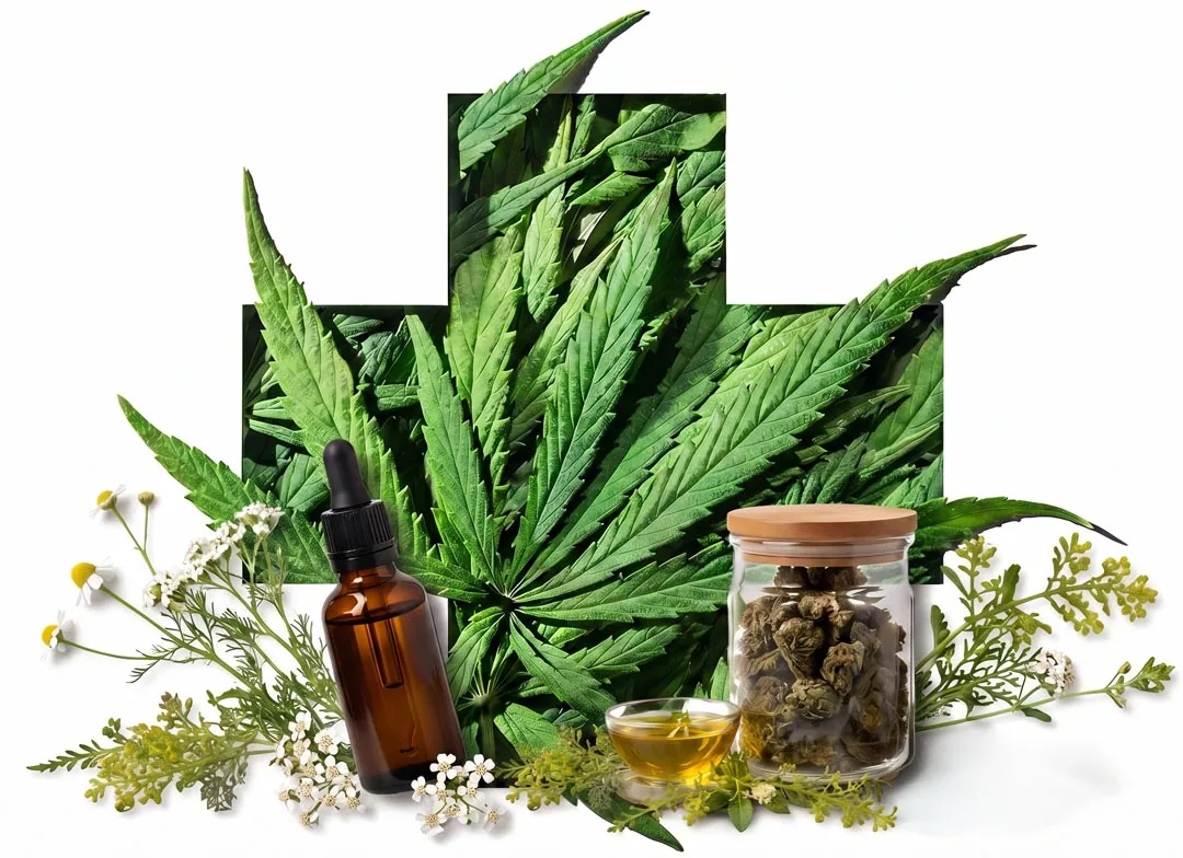 Medizinisches Cannabis